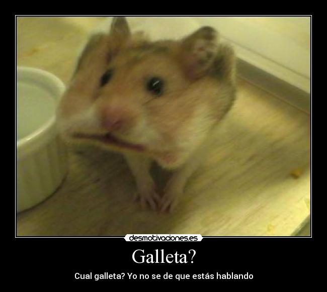 Galleta? -