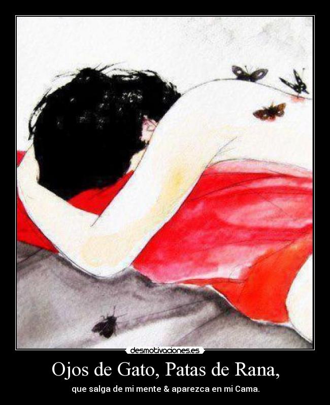 Ojos de Gato, Patas de Rana, - 