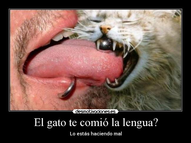 El gato te comió la lengua? -