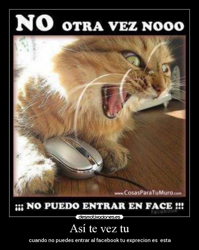 Así te vez tu - cuando no puedes entrar al facebook tu exprecion es esta