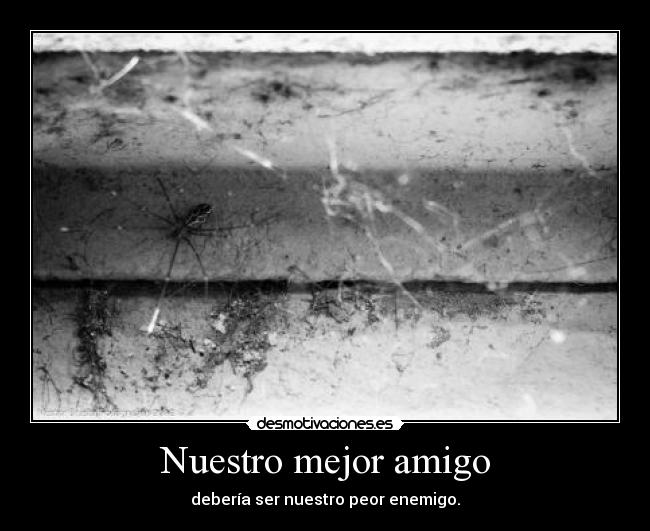 Nuestro mejor amigo -