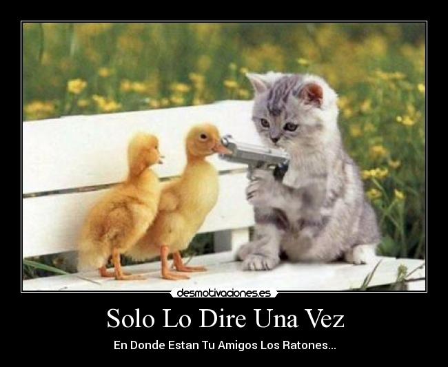 Solo Lo Dire Una Vez - 