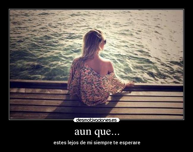 carteles amor desmotivaciones