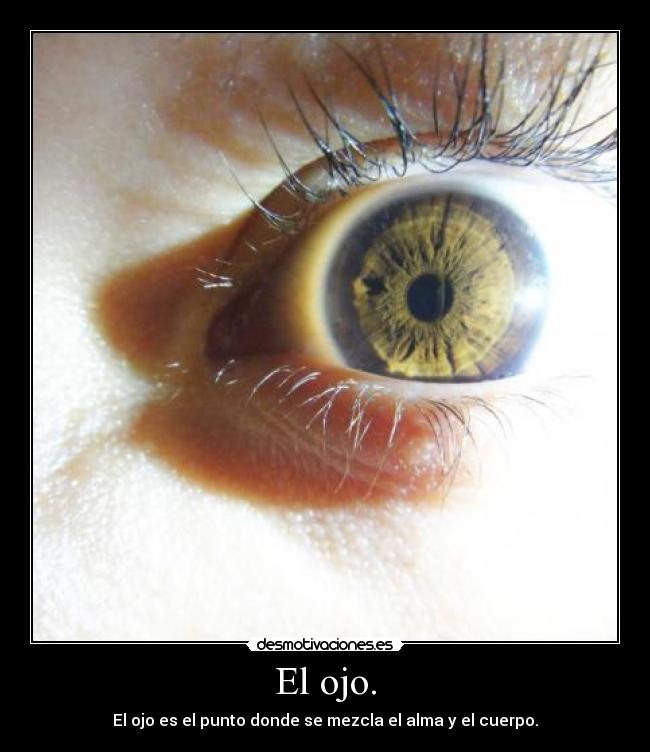 El ojo. - 