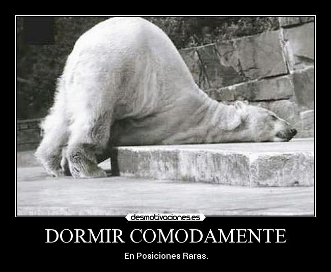 DORMIR COMODAMENTE - 