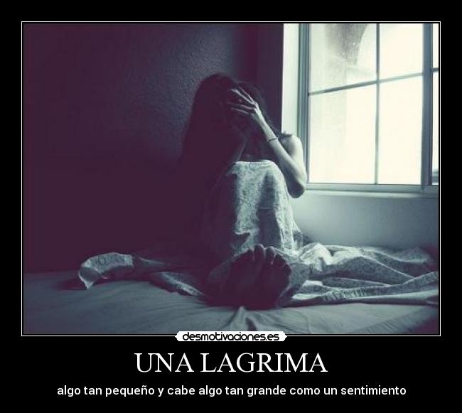 carteles lagrima desmotivaciones