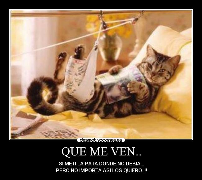 QUE ME VEN.. - SI METI LA PATA DONDE NO DEBIA...
PERO NO IMPORTA ASI LOS QUIERO..!!