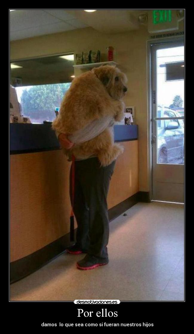 Por ellos -
