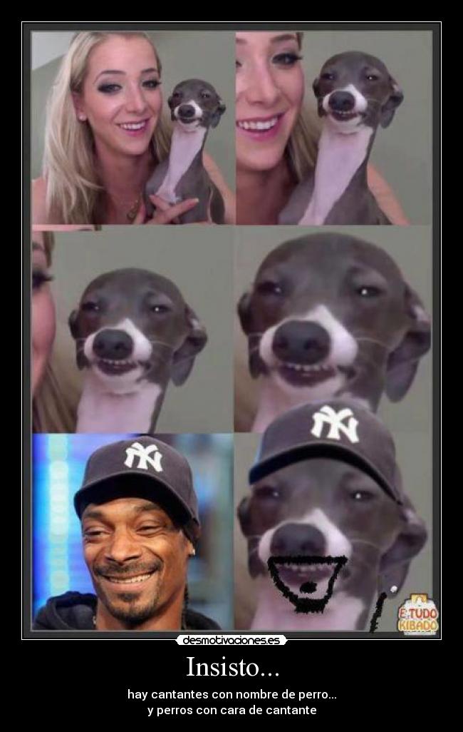 Insisto... - hay cantantes con nombre de perro...
y perros con cara de cantante
