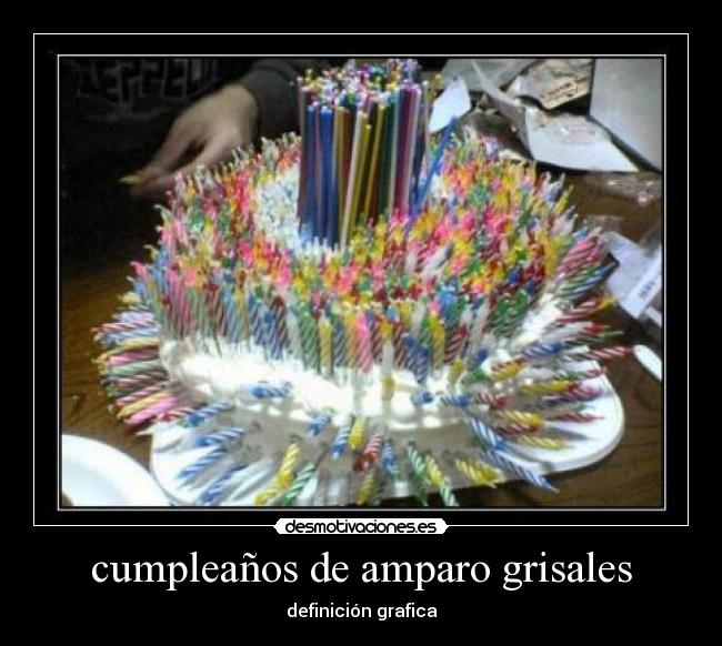 cumpleaños de amparo grisales - 