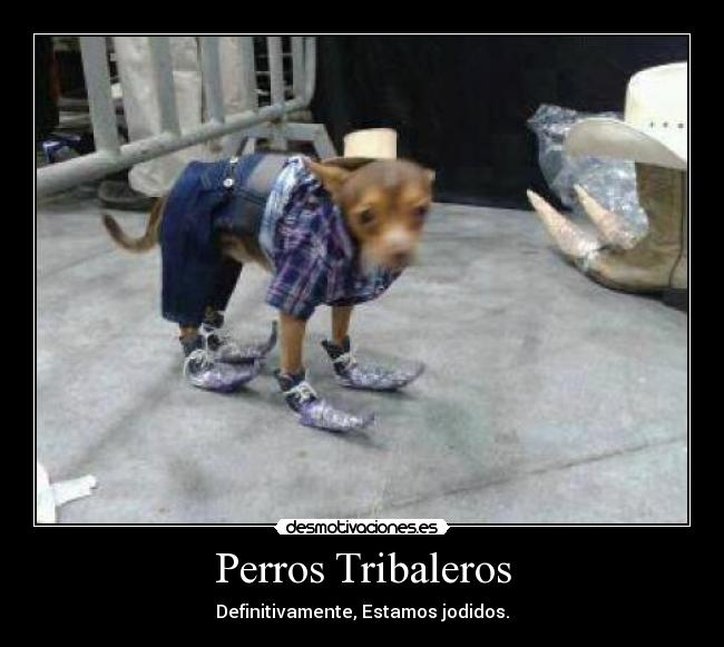 Perros Tribaleros - Definitivamente, Estamos jodidos.
