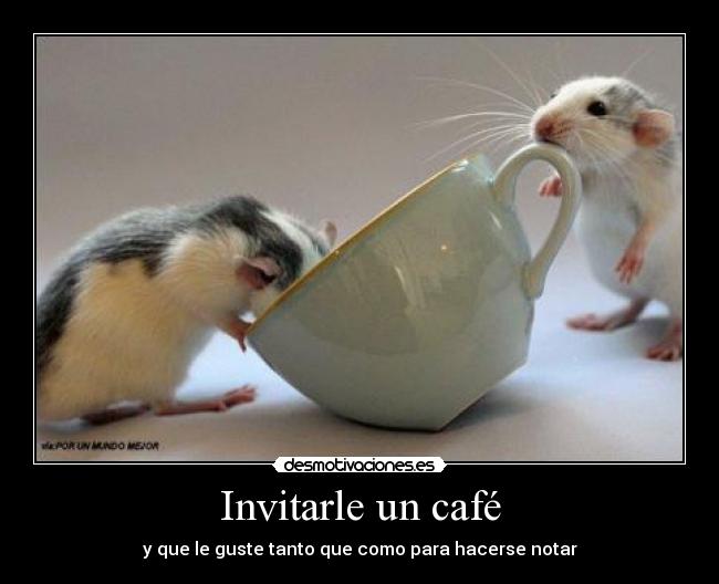 carteles cafe raton chica desmotivaciones