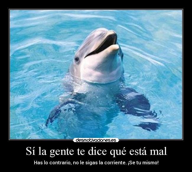 Sí la gente te dice qué está mal -
