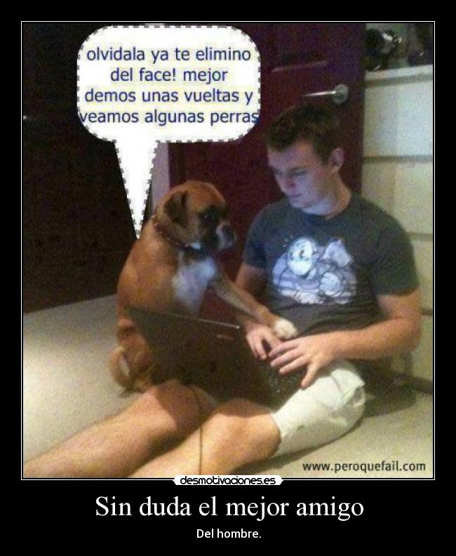 Sin duda el mejor amigo -