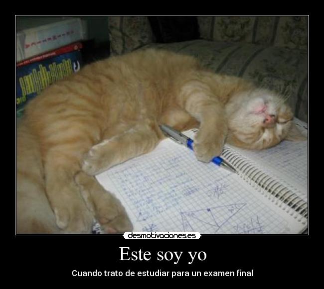 carteles este soy desmotivaciones