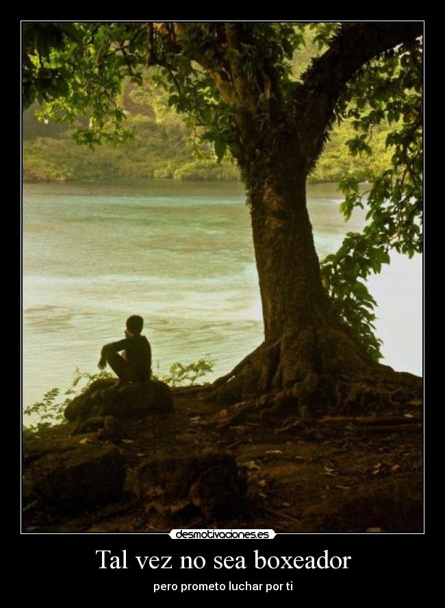 Tal vez no sea boxeador - 