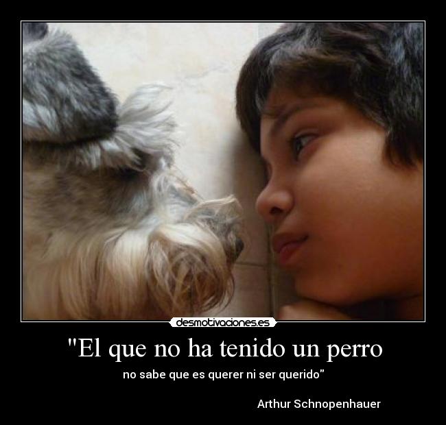 El que no ha tenido un perro -