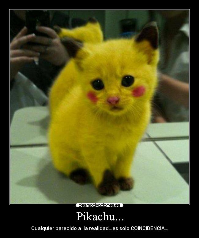 Pikachu... -