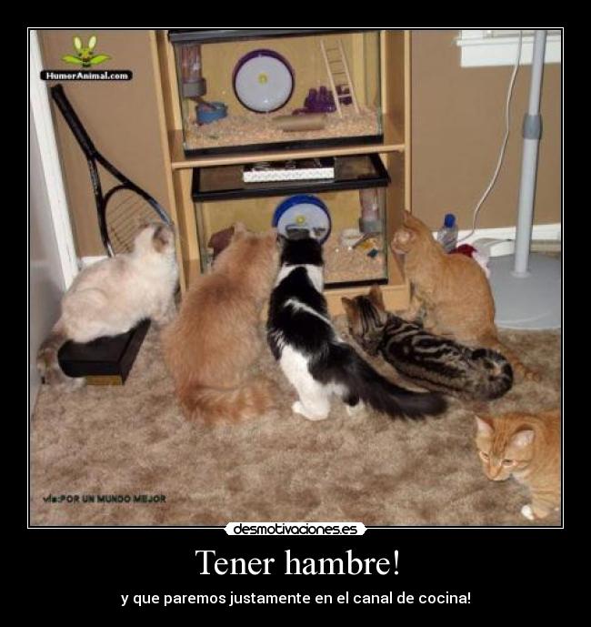 Tener hambre! -