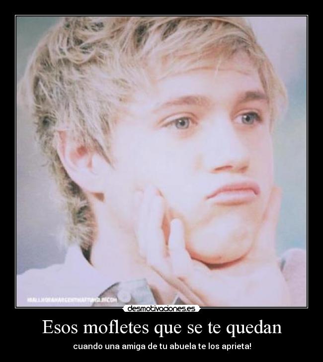 carteles niallhoranonedirection desmotivaciones