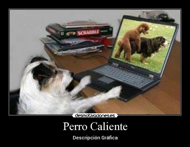 Perro Caliente - Descripción Gráfica