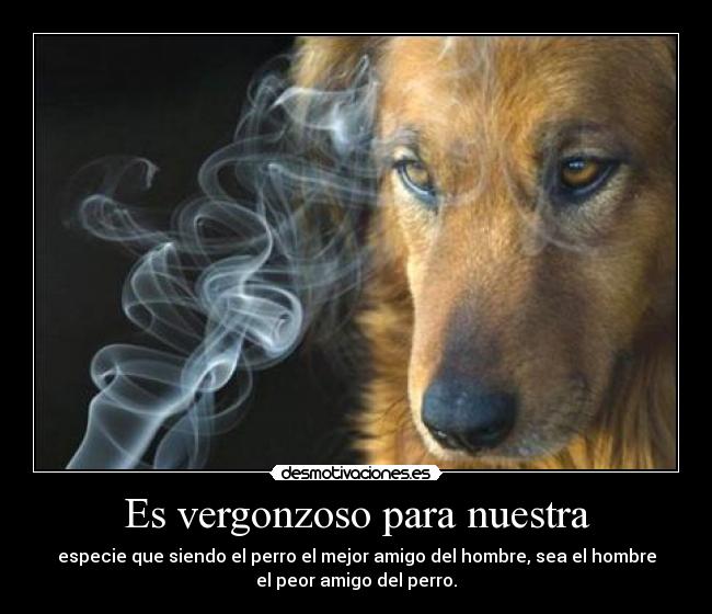 Es vergonzoso para nuestra -