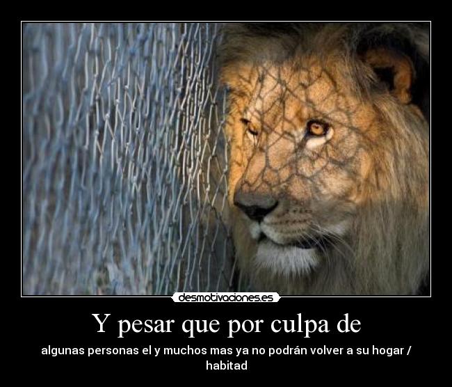 Y pesar que por culpa de -