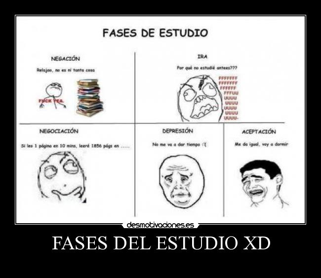 FASES DEL ESTUDIO XD -