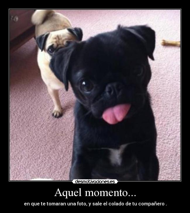 Aquel momento... - en que te tomaran una foto, y sale el colado de tu compañero .