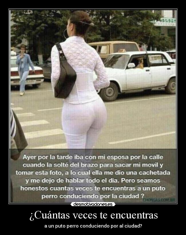 ¿Cuántas veces te encuentras - a un puto perro conduciendo por al ciudad?