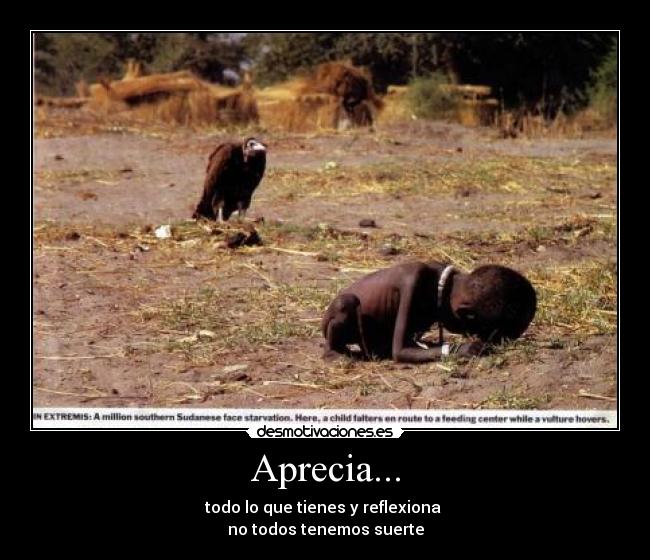 Aprecia... - todo lo que tienes y reflexiona
no todos tenemos suerte