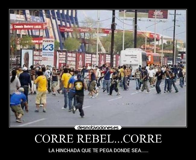 carteles libres lokos desmotivaciones