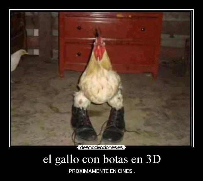el gallo con botas en 3D - PROXIMAMENTE EN CINES..