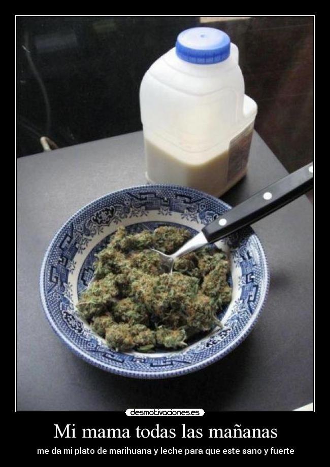 Mi mama todas las mañanas - me da mi plato de marihuana y leche para que este sano y fuerte