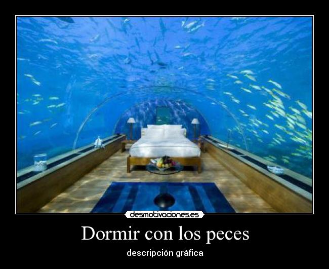 Dormir con los peces -