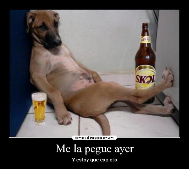 Me la pegue ayer - Y estoy que exploto