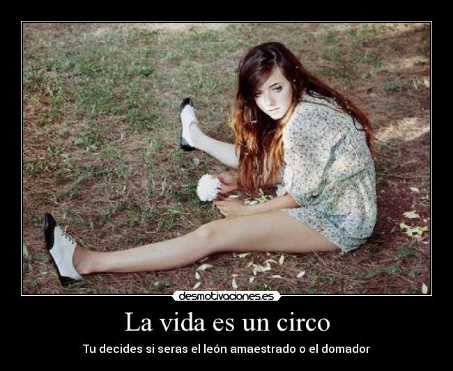 La vida es un circo -