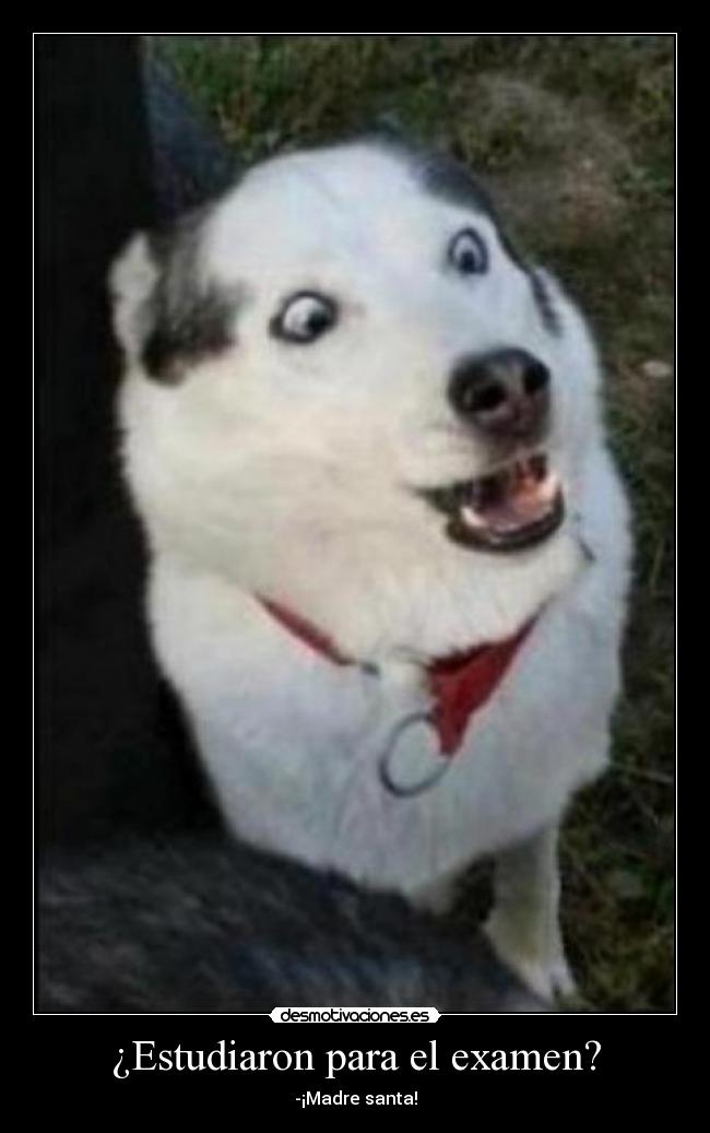 ¿Estudiaron para el examen? - -¡Madre santa!