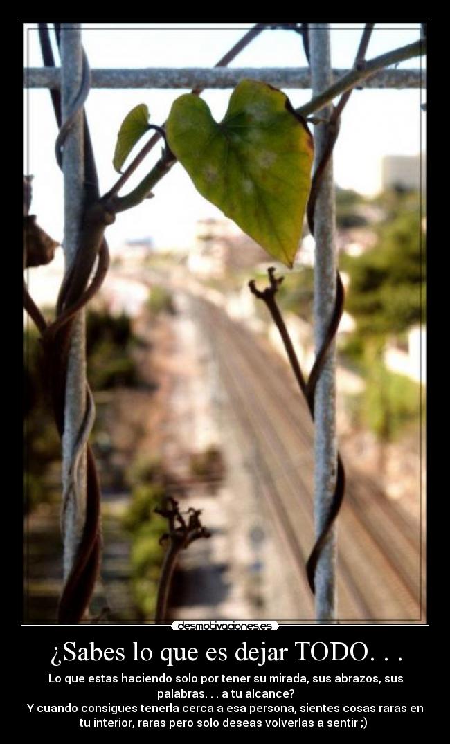¿Sabes lo que es dejar TODO. . . - Lo que estas haciendo solo por tener su mirada, sus abrazos, sus
palabras. . . a tu alcance?
Y cuando consigues tenerla cerca a esa persona, sientes cosas raras en
tu interior, raras pero solo deseas volverlas a sentir ;) ♥