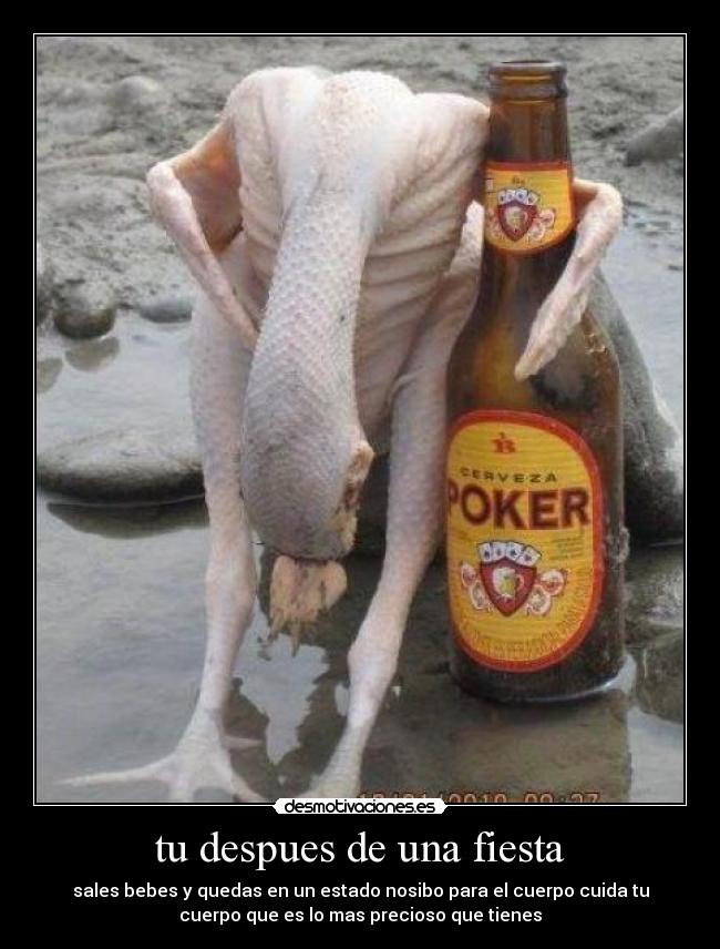 carteles fiesta juanse diaz ortiz desmotivaciones