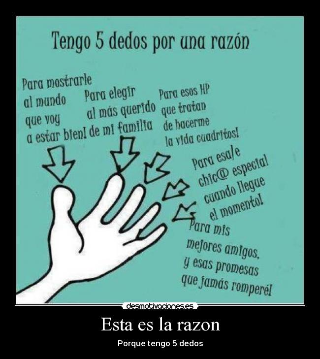 Esta es la razon - Porque tengo 5 dedos