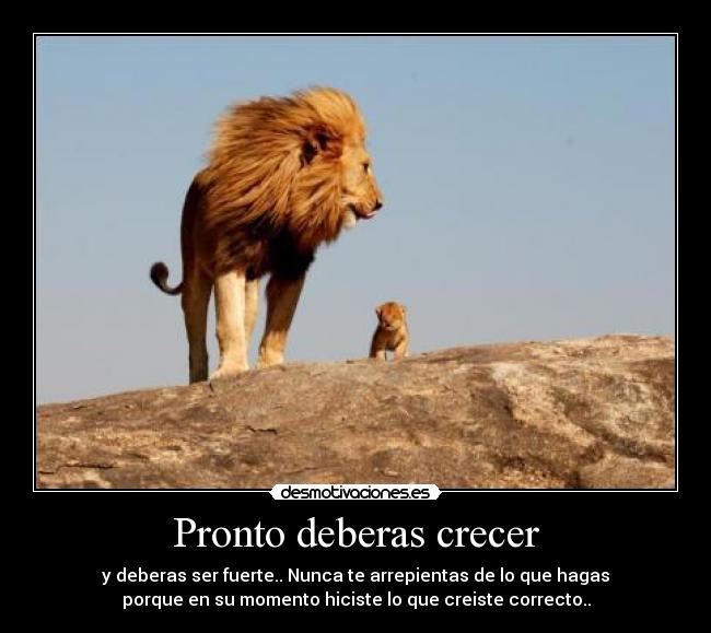 carteles maleny siente extrana dia hoy desmotivaciones