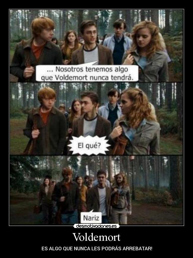 carteles voldemort algo que les podras quitar desmotivaciones