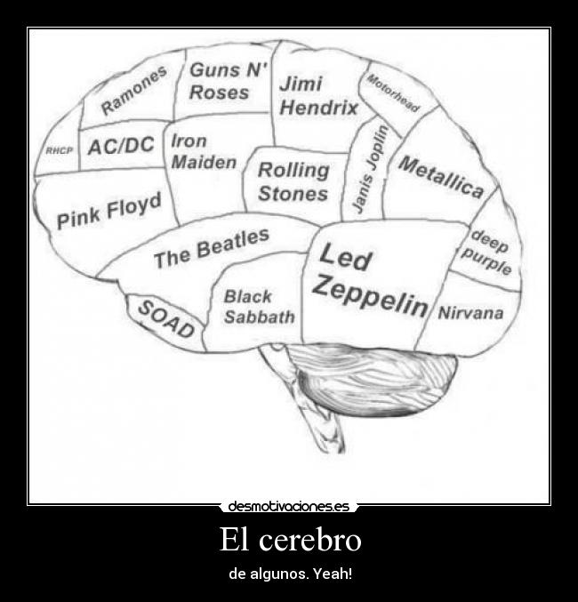 El cerebro - de algunos. Yeah!
