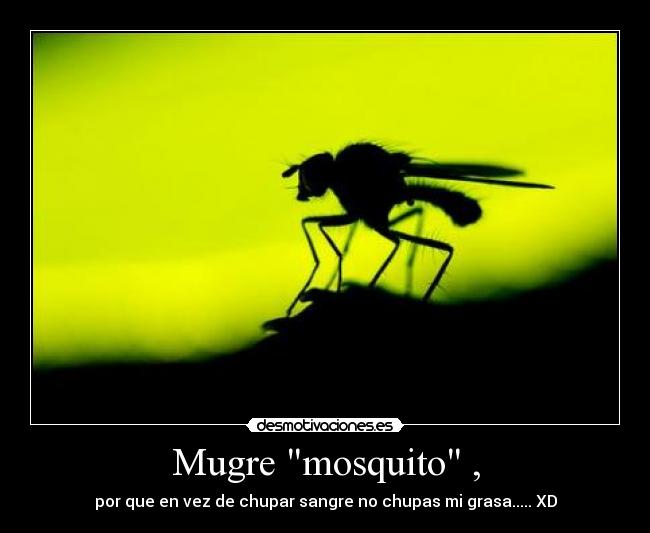 Mugre mosquito , -