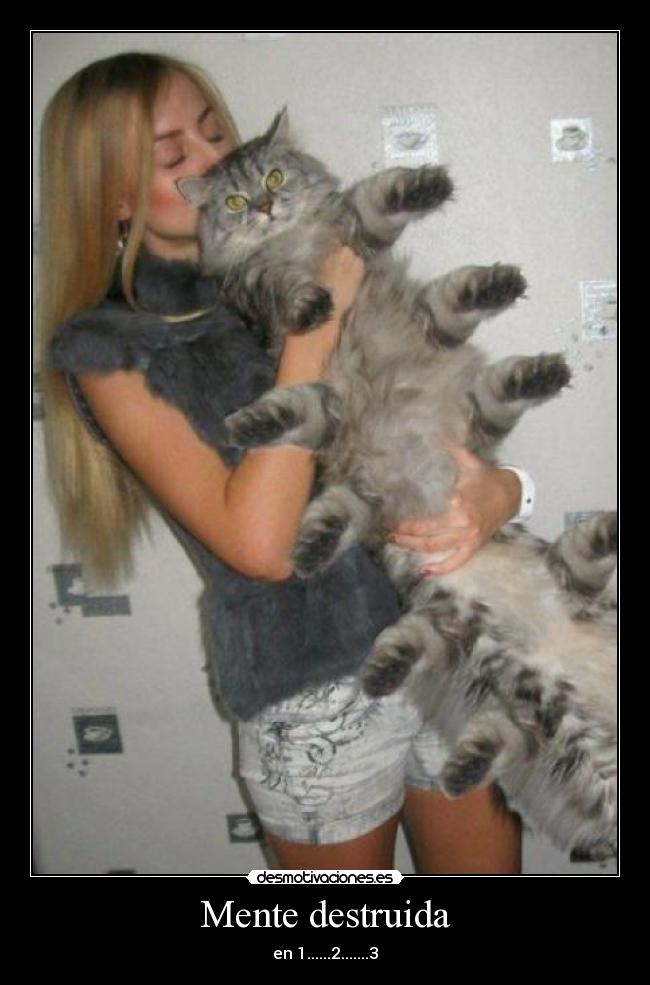 Mente destruida - en 1......2.......3