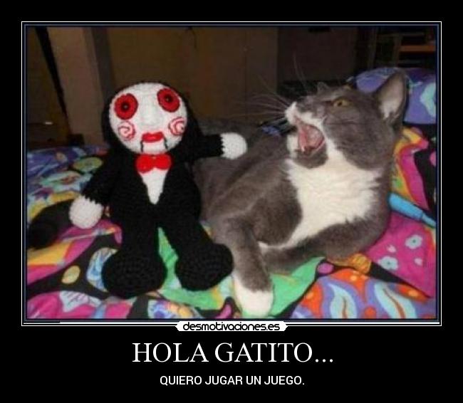 HOLA GATITO... -