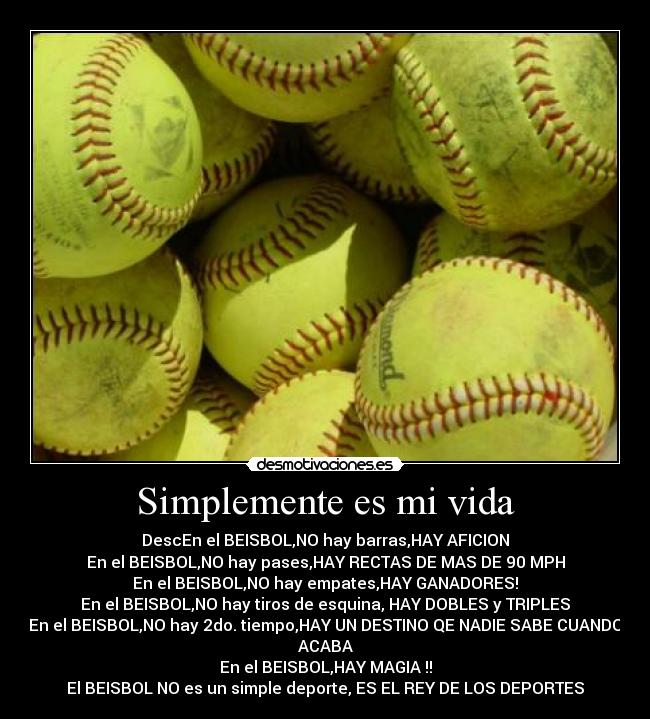 Simplemente es mi vida - 