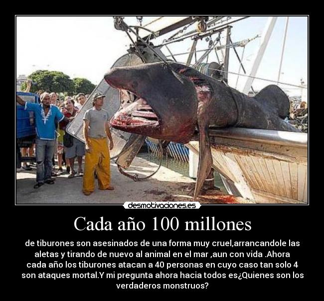 Cada año 100 millones -