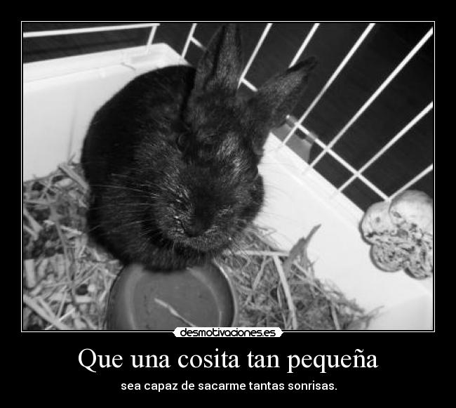 Que una cosita tan pequeña - 